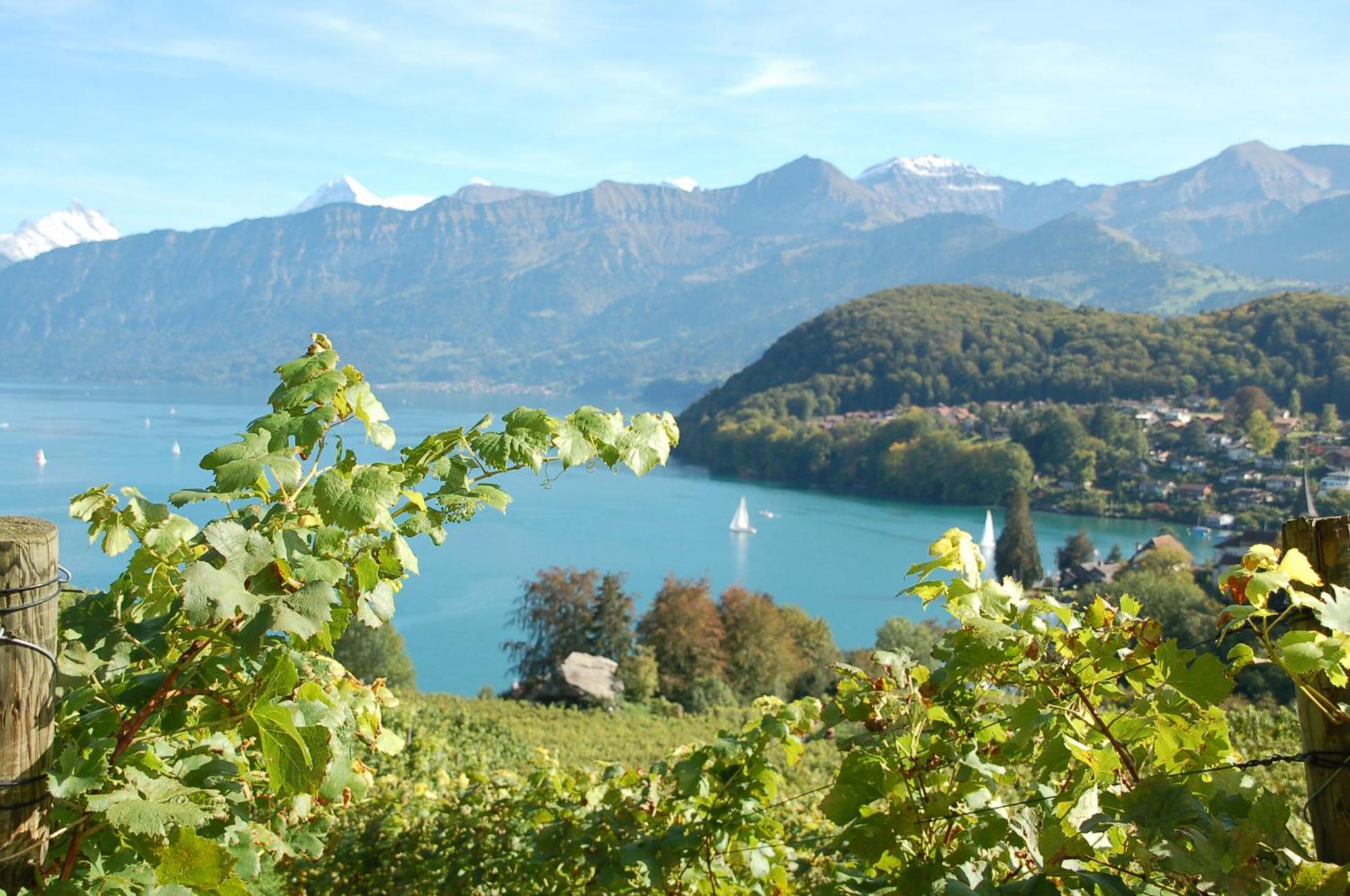 Hotel Seaside Spiez Esterno foto