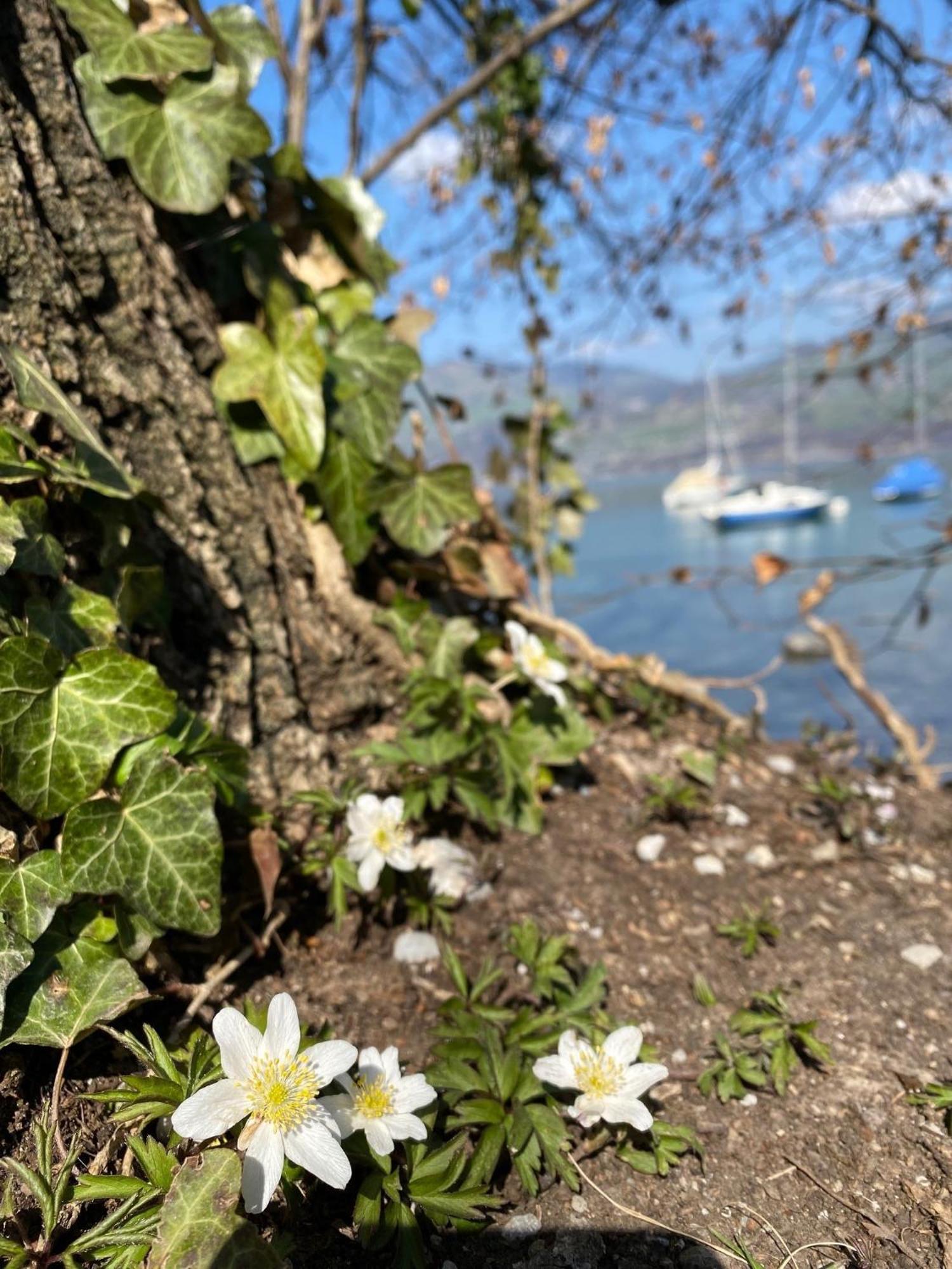 Hotel Seaside Spiez Esterno foto